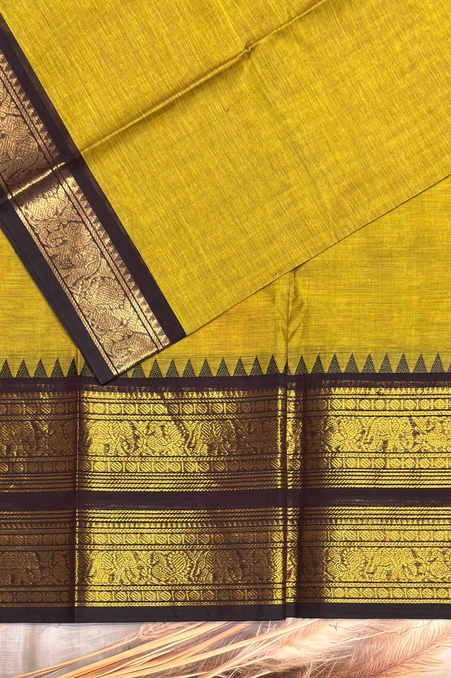 Meenakshi -Kanchi Cotton | Pasipayaru Green with Coffee | MCK39