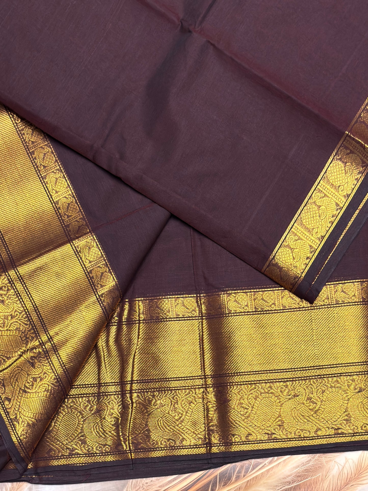 Meenakshi -Premium Kanchi Cotton Saree– Coffee | MCK80