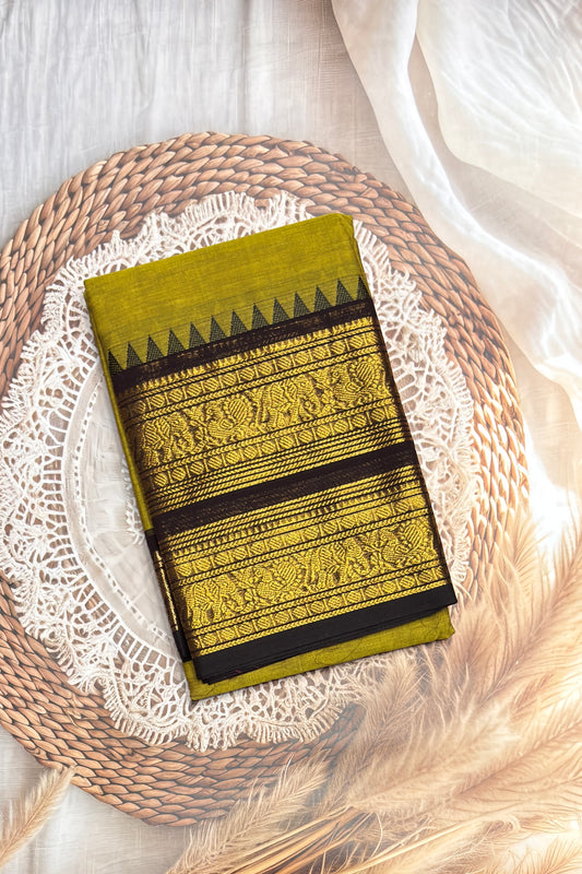 Meenakshi -Kanchi Cotton | Pasipayaru Green with Coffee | MCK39