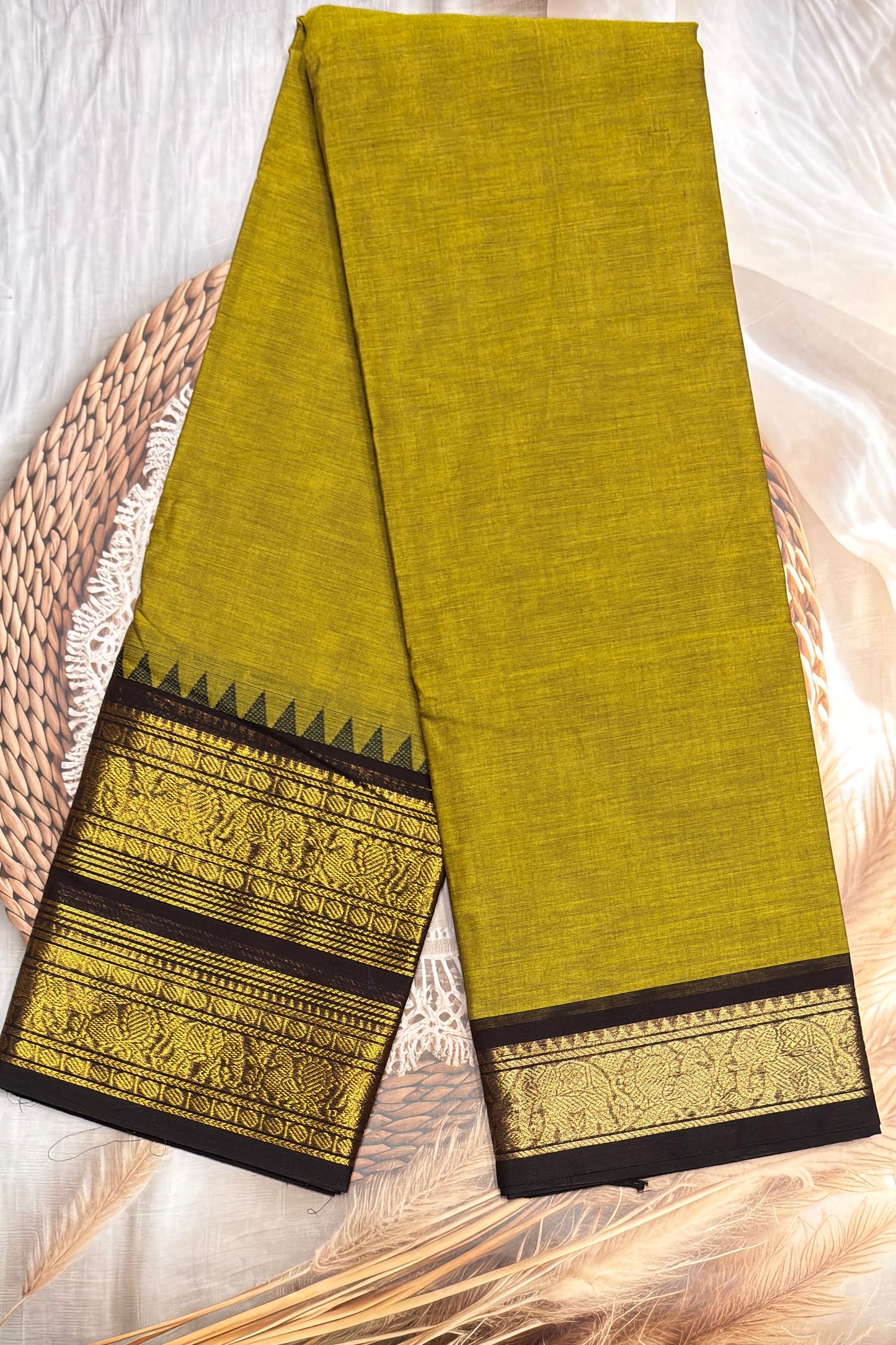 Meenakshi -Kanchi Cotton | Pasipayaru Green with Coffee | MCK39