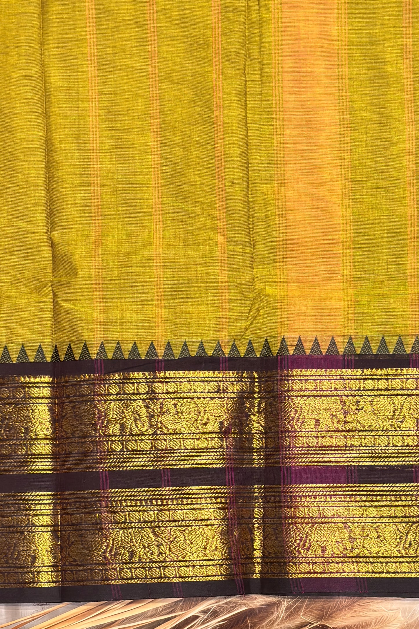 Meenakshi -Kanchi Cotton | Pasipayaru Green with Coffee | MCK39