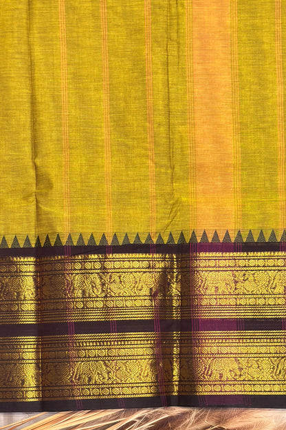 Meenakshi -Kanchi Cotton | Pasipayaru Green with Coffee | MCK39