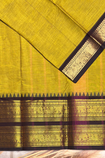 Meenakshi -Kanchi Cotton | Pasipayaru Green with Coffee | MCK39